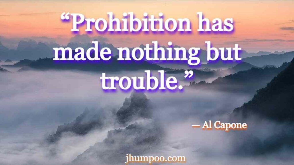“Prohibition has made nothing but trouble.”