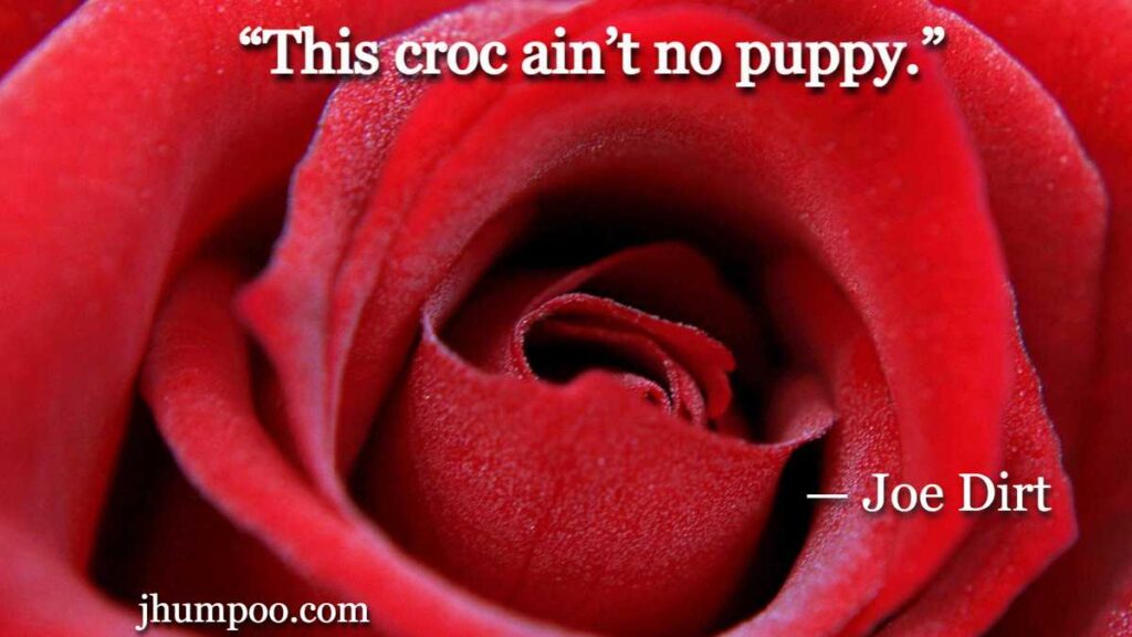 “This croc ain’t no puppy.”