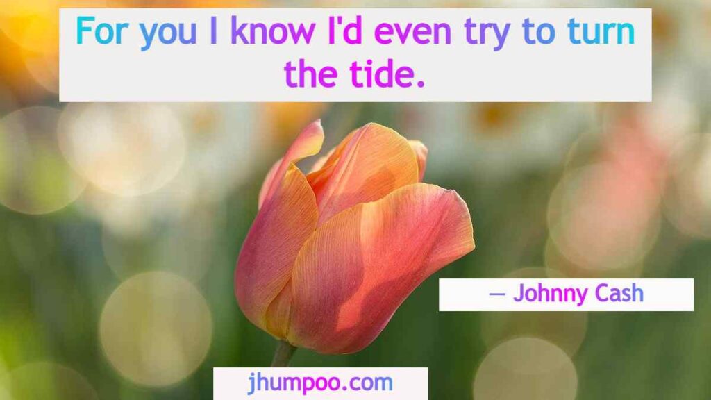 Johnny Cash Quotes - For you I know I'd even try to turn the tide.