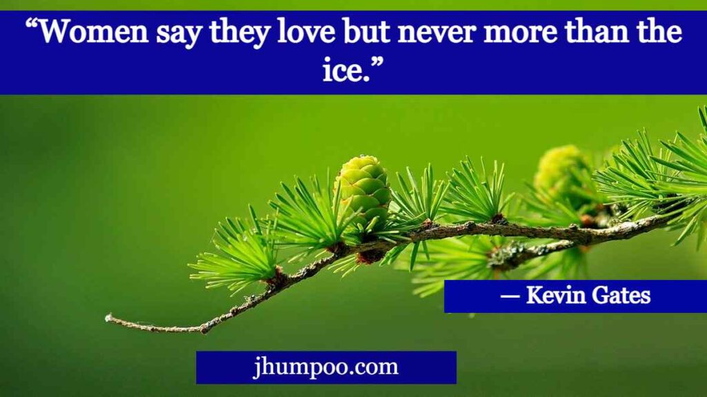 “Women say they love but never more than the ice.” - Kevin Gates Quotes