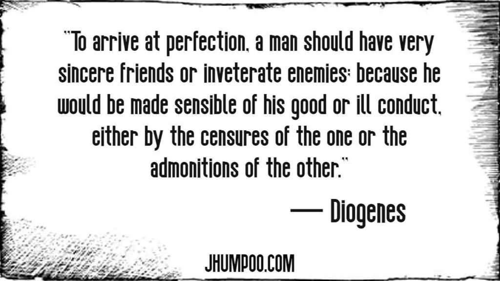 ''To arrive at perfection, a man should have very sincere friends or inveterate enemies; because he would be made sensible of his good or ill conduct, either by the censures of the one or the admonitions of the other.''